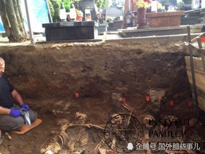 考古学家|小镇挖出8具尸骨，死者被并排排列全遭残忍杀害