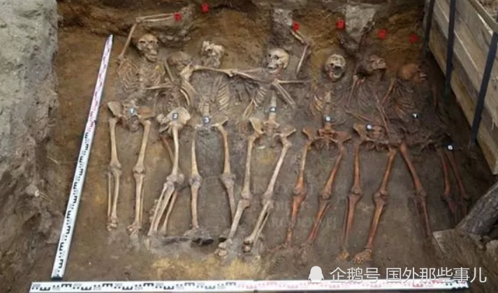 考古学家|小镇挖出8具尸骨，死者被并排排列全遭残忍杀害