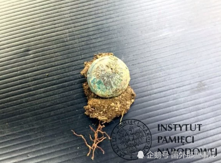 考古学家|小镇挖出8具尸骨，死者被并排排列全遭残忍杀害