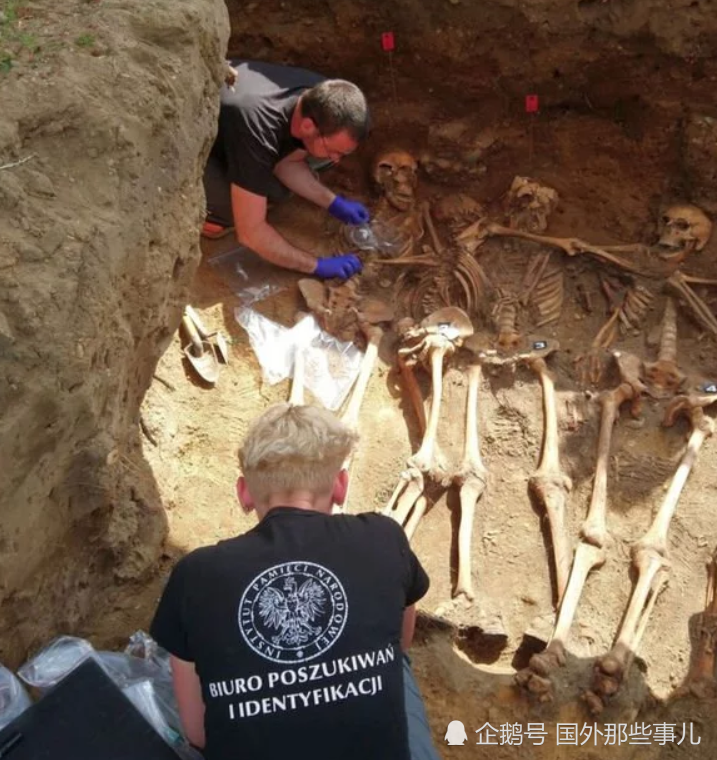 考古学家|小镇挖出8具尸骨，死者被并排排列全遭残忍杀害