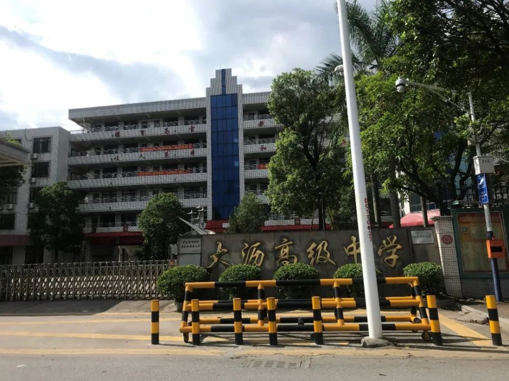 大沥实验小学,大沥高级中学等教学质量抗打的民办学校也在周边.