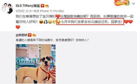 向佐|抛下孕中郭碧婷而不顾，向佐和友人逛街被偶遇，向太失言未去接郭碧婷回家