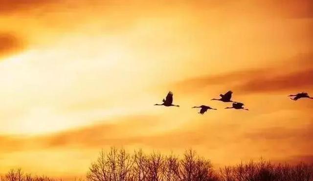 宋之问|宋之问在汉江边写下一首诗，短短四句却道尽了乡愁，读来令人难忘