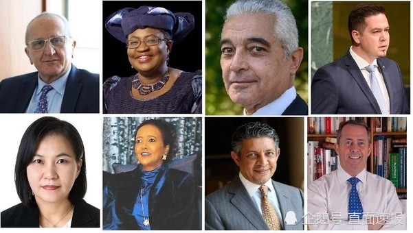 世界贸易组织|不能让韩国人担任世贸组织总干事：日本支持尼日利亚候选人