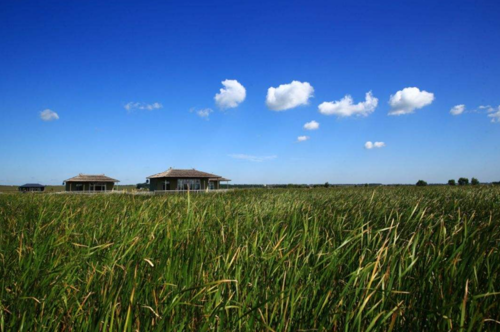 暴雨|2020年洪灾又来了！持续强降雨，对粮食收成有什么影响？