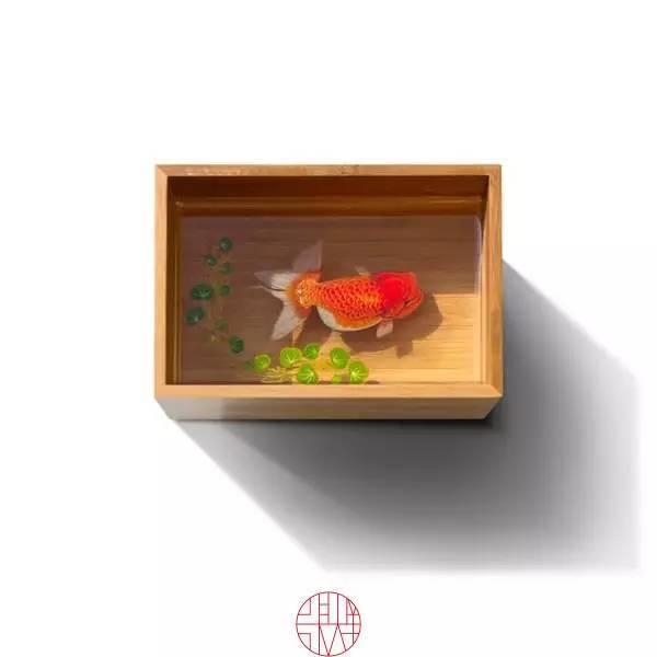 日本人|这个“变态”的日本人，画了12年的金鱼，把金鱼画活了