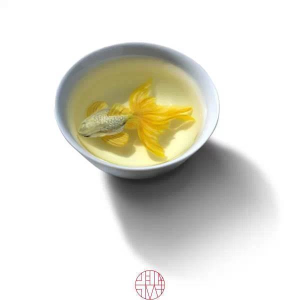 日本人|这个“变态”的日本人，画了12年的金鱼，把金鱼画活了