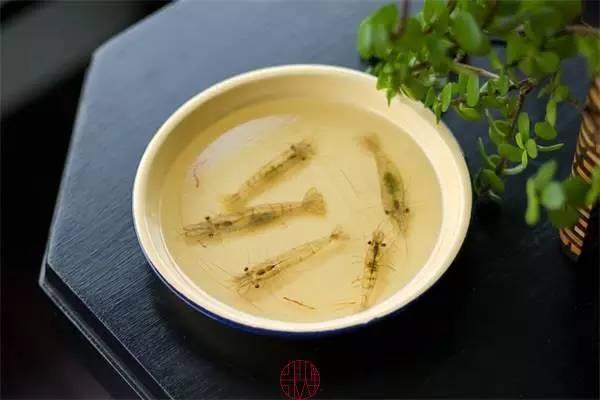 日本人|这个“变态”的日本人，画了12年的金鱼，把金鱼画活了