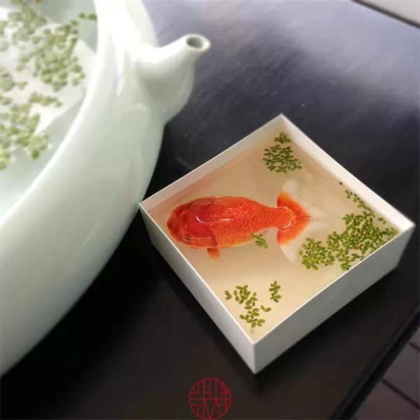 日本人|这个“变态”的日本人，画了12年的金鱼，把金鱼画活了
