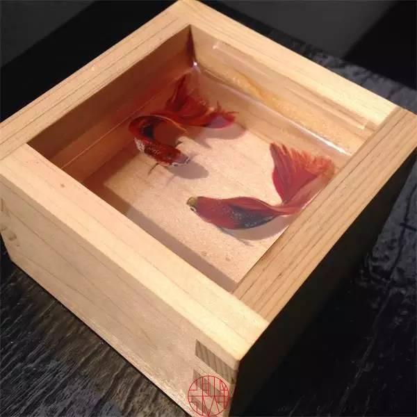 日本人|这个“变态”的日本人，画了12年的金鱼，把金鱼画活了