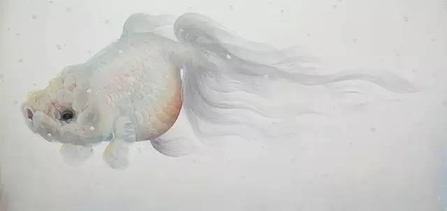 日本人|这个“变态”的日本人，画了12年的金鱼，把金鱼画活了