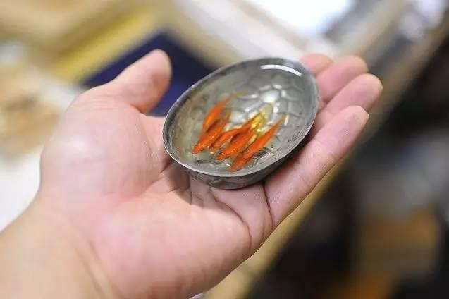 日本人|这个“变态”的日本人，画了12年的金鱼，把金鱼画活了