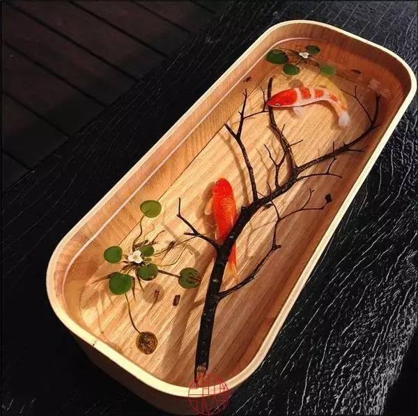 日本人|这个“变态”的日本人，画了12年的金鱼，把金鱼画活了