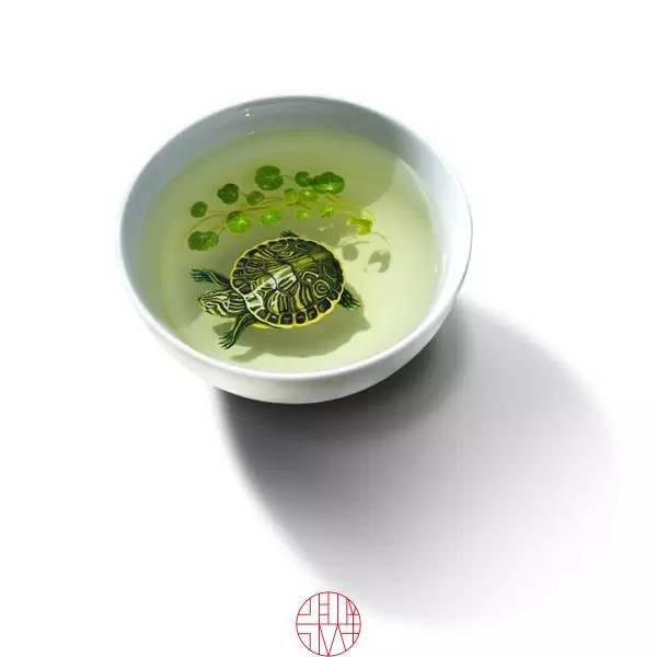 日本人|这个“变态”的日本人，画了12年的金鱼，把金鱼画活了