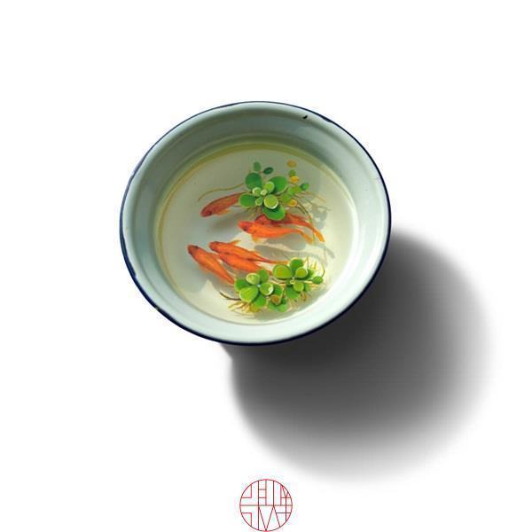 日本人|这个“变态”的日本人，画了12年的金鱼，把金鱼画活了