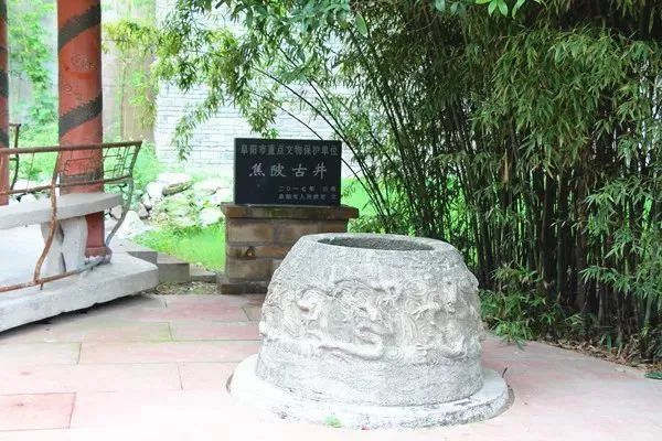 焦陂|大家好，我叫阜南！