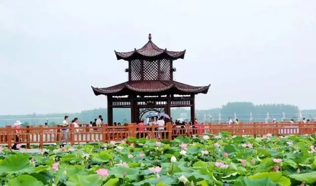 焦陂|大家好，我叫阜南！