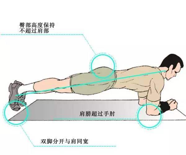 每天一组平板支撑30天练成马甲线
