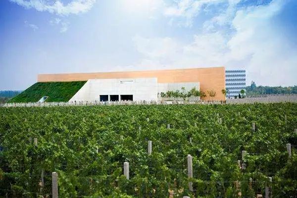 参观贺兰晴雪酒庄;大名鼎鼎的"加贝兰"出品的摇篮.