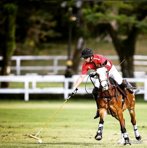王子|帅气多金的王子没有女友？怪不得百万迷妹为他疯狂……