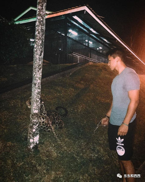 王子|帅气多金的王子没有女友？怪不得百万迷妹为他疯狂……