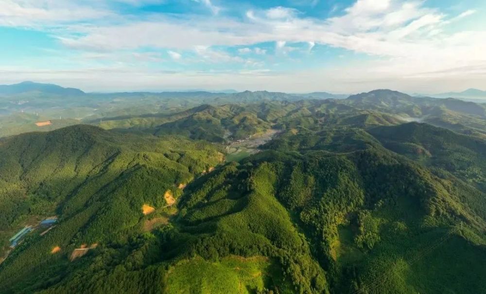 万木林|这本书出版发行，关于建瓯万木林景区的