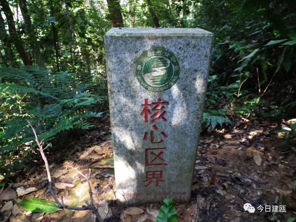 万木林|这本书出版发行，关于建瓯万木林景区的