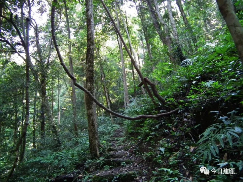 万木林|这本书出版发行，关于建瓯万木林景区的