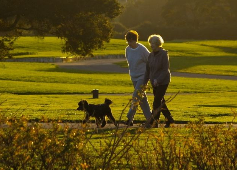 为什么每天坚持散步的人 还不如 懒人 健康 腾讯新闻