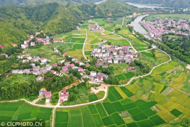 以上图片:2020年7月6日拍摄的江西省吉安市万安县涧田乡上陈村田园.