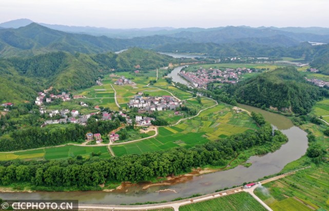 江西万安:夏日乡村田园|万安县|江西|上陈村|吉安|村落