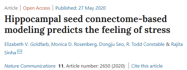 大脑网络|耶鲁大学发现了造成压力的大脑网络！未来可通过调节脑信号缓解压力