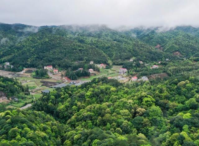 福建武平县捷文村林下走出小康路