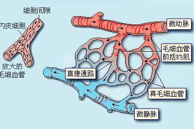 糖尿病并发症|喜讯！终于可以告别糖尿病了，老糖友纷纷转告