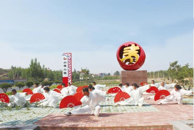 毛松馥|寿山图记｜世界最大寿字的前世今生｜毛松馥