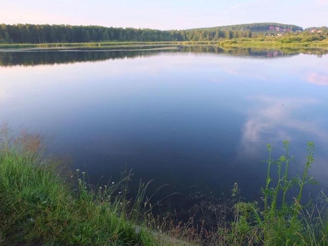 棕熊|俄罗斯女子散步，竟然遇到棕熊袭击，被折磨一番，最后活活痛死