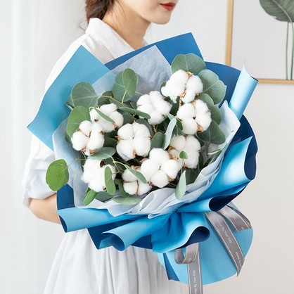 对你的爱如棉花般温暖