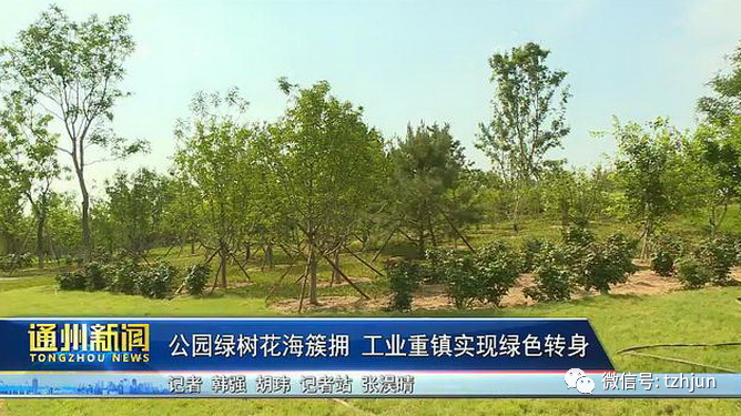 公园|震撼！通州这里添万亩巨型公园，打造3种森林！