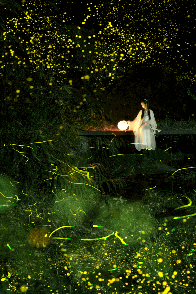 藏在深山里5000多平的荧光水森林,潺潺流水带走暑气,俨然是萤火虫的"