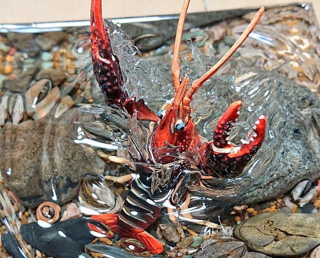 日本网友做了个小龙虾手办，放大看，水花都清晰可见