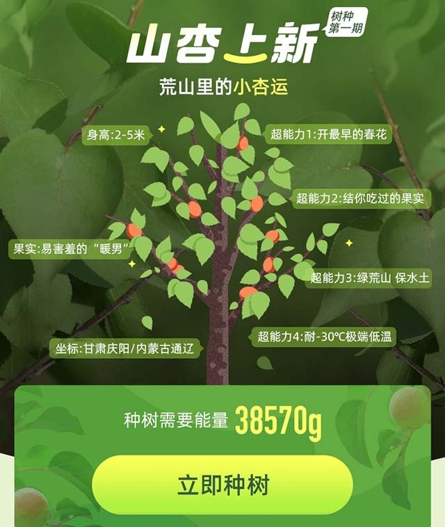 支付宝蚂蚁森林迎来新树山杏让你杏运满满