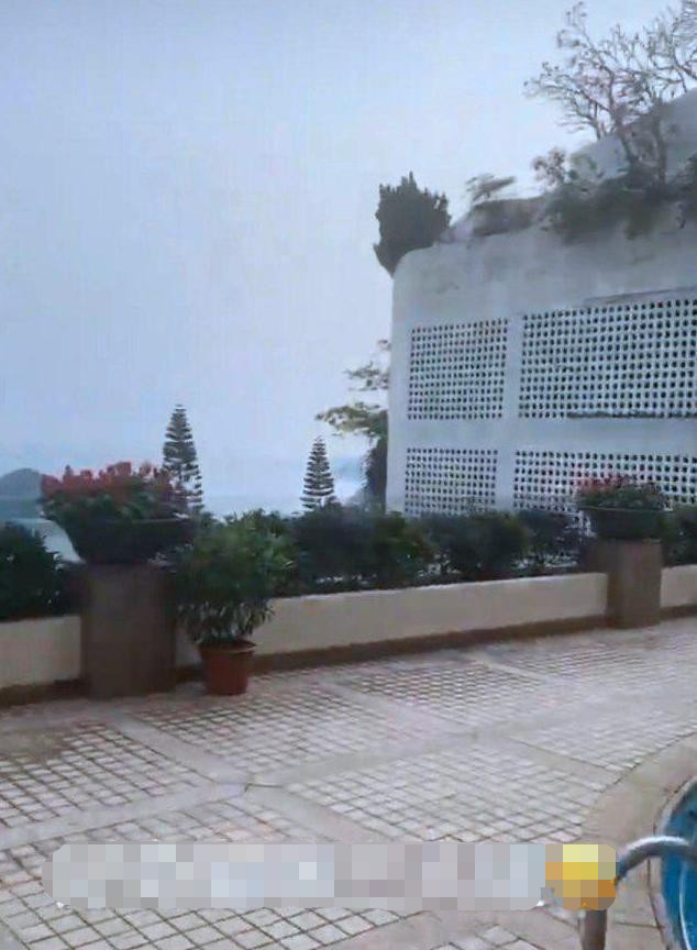 虽然之前已经通过媒体报道了解过什么是豪宅,但是看到这种场景,还是会