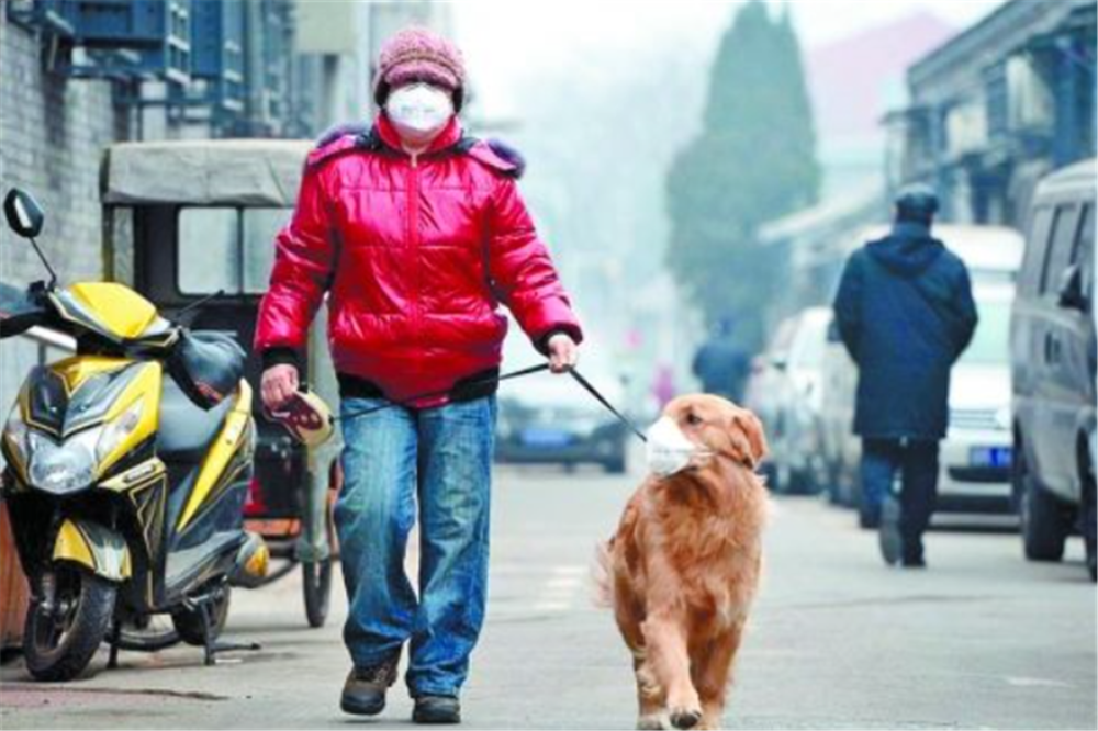 这才是全球最安全的国度 国家和民众相互信任 西方国家羡慕不已 腾讯新闻