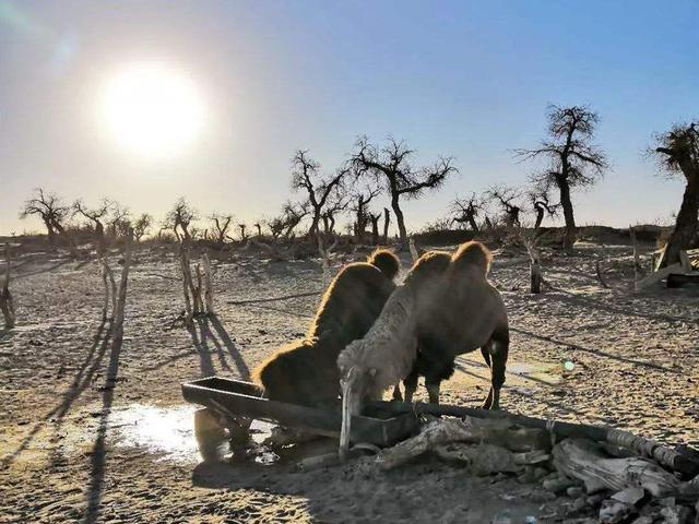 胡歌|2020年过去一半，胡歌只上过一次热搜，“消失”的他到底去哪了？