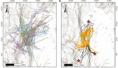 蝙蝠|Science封面：蝙蝠与人类到底是谁伤害了谁