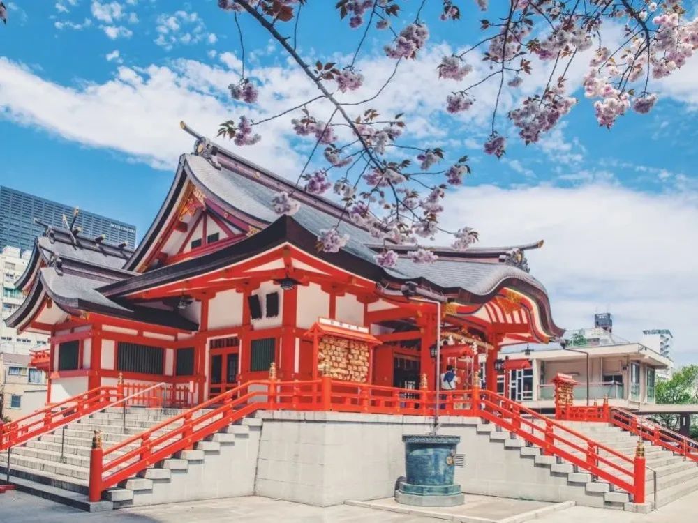 百花|央视主持人朗诵：人生如花一般悄然绽放