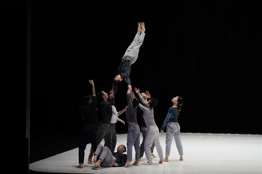 九重奏|危险系数太高，谢欣给舞者们买了意外保险，《九重奏》世界首演