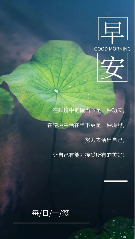 阳光心态正能量的句子 唤醒了你的斗志的早安图片带字_腾讯新闻