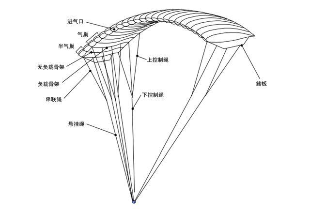 疫情之下美军仍不忘展示国旗海军跳伞队技能过硬历史也很悠久