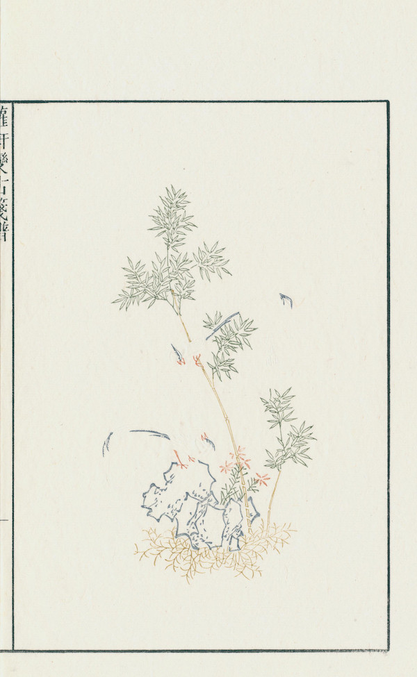 罗轩变古笺谱|《罗轩变古笺谱》：借出上博孤本，为纪念鲁迅而刻